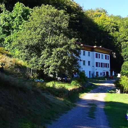 Domaine L'Imperatrice Appartement Plombières-les-Bains Buitenkant foto